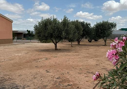 Town house in Fuente Alamo