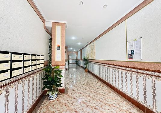 Apartment in La Mata