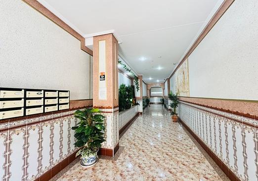 Apartment in La Mata