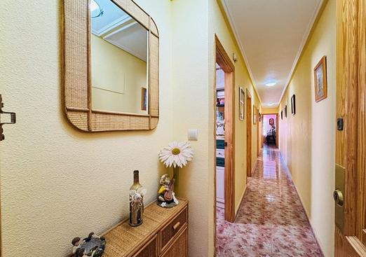 Apartment in La Mata