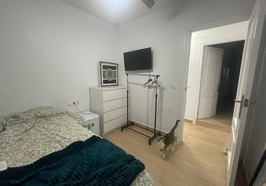 Villa in Playa Flamenca