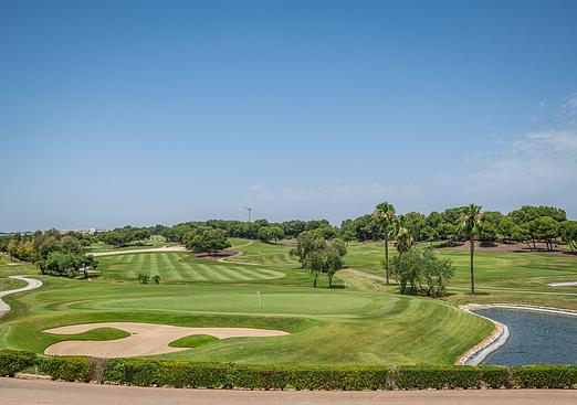 Apartment in Pilar de La Horadada