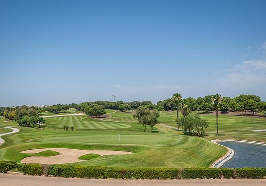 Apartment in Pilar de La Horadada