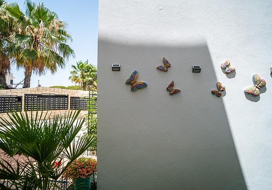 Apartment in Pilar de La Horadada