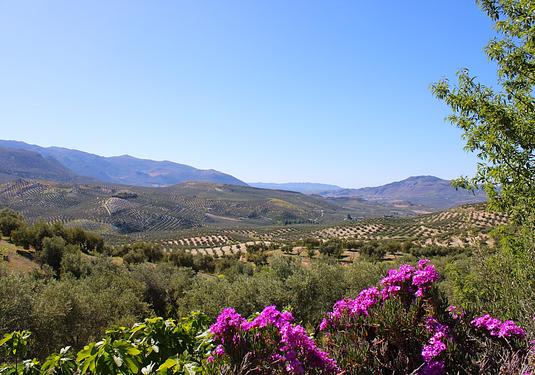 Country house in Salar