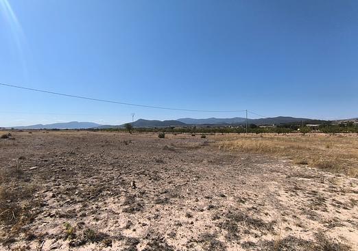 Land in Pinoso