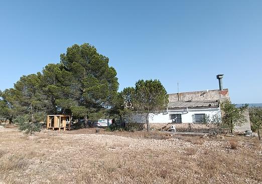 Country house in Yecla