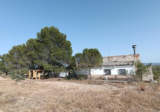 Country house in Yecla