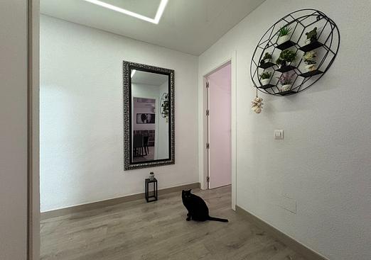 Apartment in Torrevieja