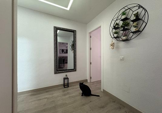 Apartment in Torrevieja