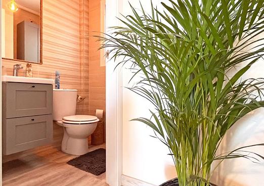 Town house in Torrevieja