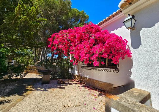 Villa in javea