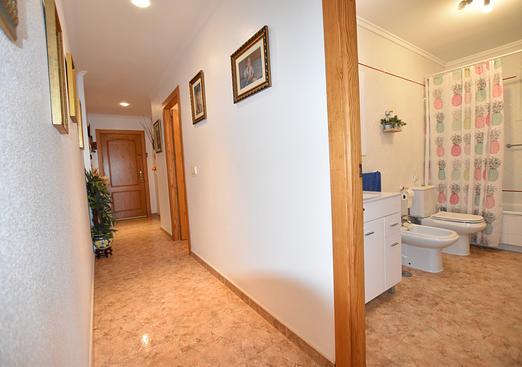 Apartment in La Mata