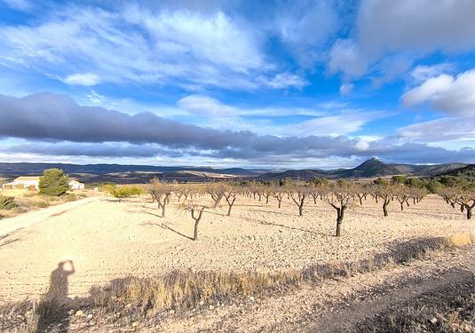 Country house in Yecla