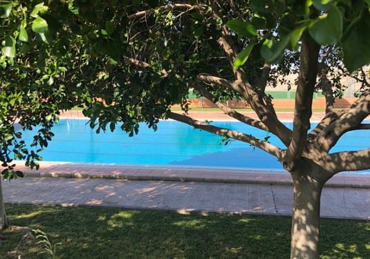 Property in San Miguel de Salinas