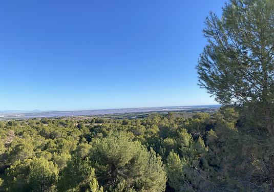 Villa in San Miguel de Salinas