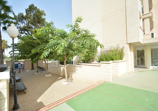 Apartment in Guardamar del Segura