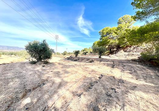 Country house in Pinoso