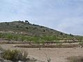 Land in Jumilla