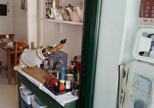 Apartment in Guadalmina