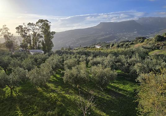Town house in Alcaucín