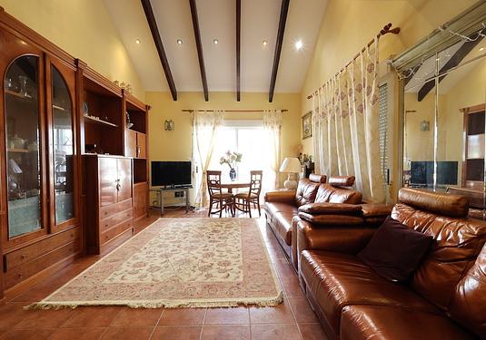 Villa in Playa Flamenca