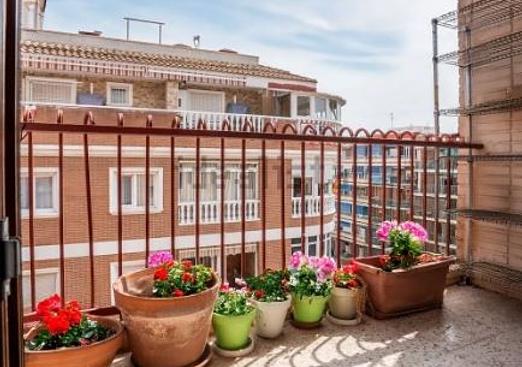 Apartment in Playa Del Acequion