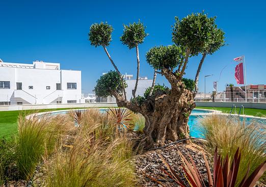 Apartment in Torrevieja