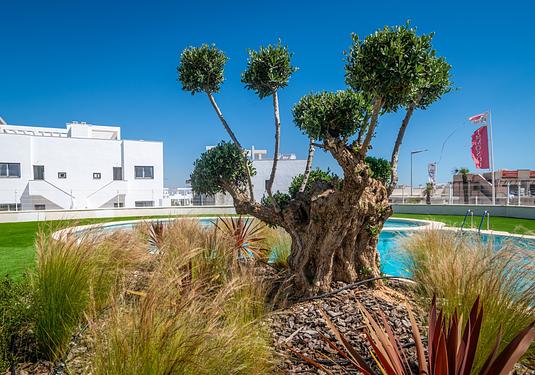 Apartment in Torrevieja