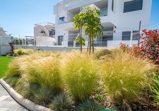 Apartment in Torrevieja