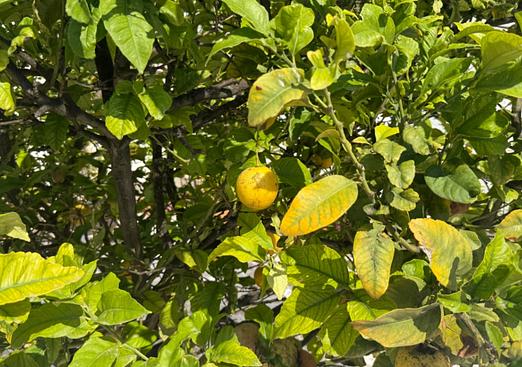 Property in Torrevieja