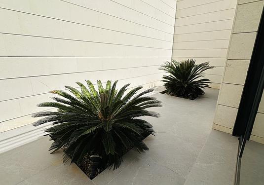 Villa in Las Colinas Golf