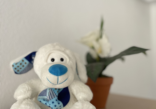 Apartment in Calles de Mallorca