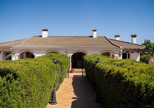 Villa in Torre Pacheco