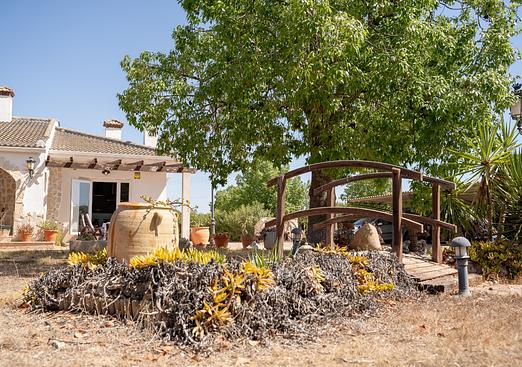 Villa in Torre Pacheco