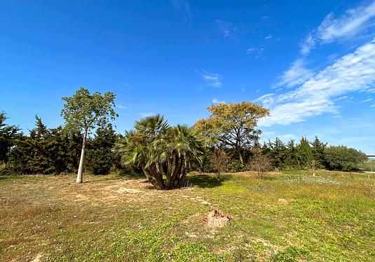 Villa in Torre Pacheco