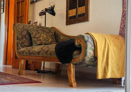 Villa in Torre Pacheco