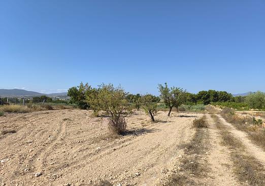 Land in Monóvar/Monóver
