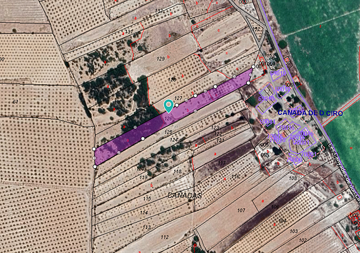 Land in Monóvar/Monóver