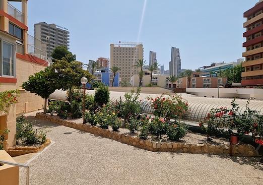 Apartment in Benidorm
