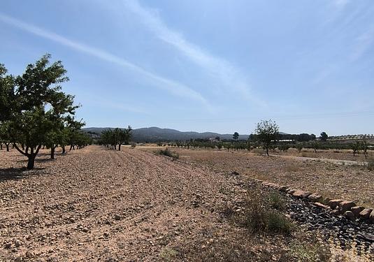 Land in Monóvar/Monóver