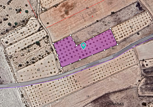 Land in Monóvar/Monóver