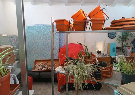 Country house in Yecla