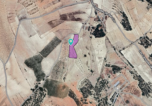 Land in Monóvar/Monóver