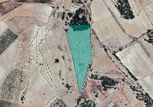 Land in Monóvar/Monóver