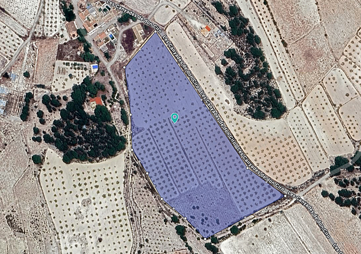 Land in Monóvar/Monóver