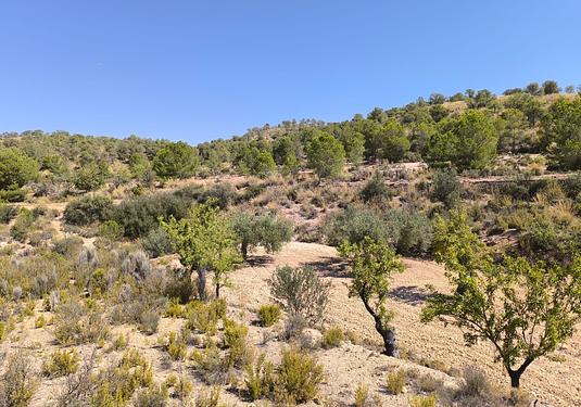 Land in Monóvar/Monóver