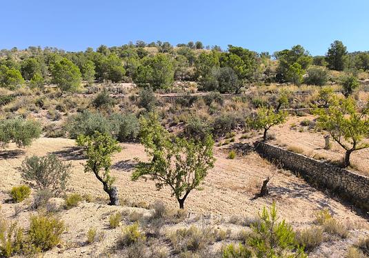 Land in Monóvar/Monóver