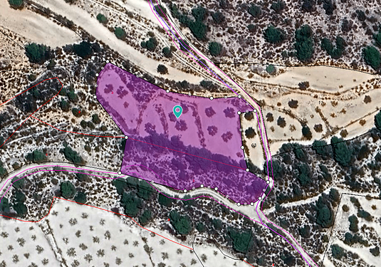 Land in Monóvar/Monóver