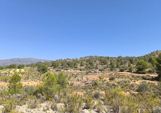 Land in Monóvar/Monóver